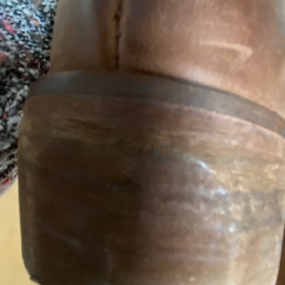 Freebird by Steven-Frisco - Picture 2 of 8